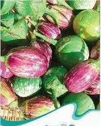 彩茄種子 開啟多彩健康菜園的鑰匙——聚焦農副產品新機遇