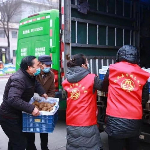 蘇陜農(nóng)副產(chǎn)品直通車 以愛心助農(nóng)打通扶風(fēng)農(nóng)產(chǎn)品銷售新渠道