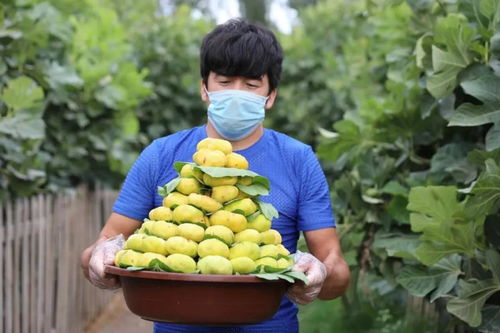 愛心助農丨網紅經濟新引擎，岳普湖特色食品香飄萬里